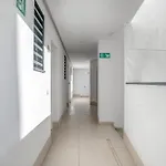 公寓式酒店 Black Palm 1 9